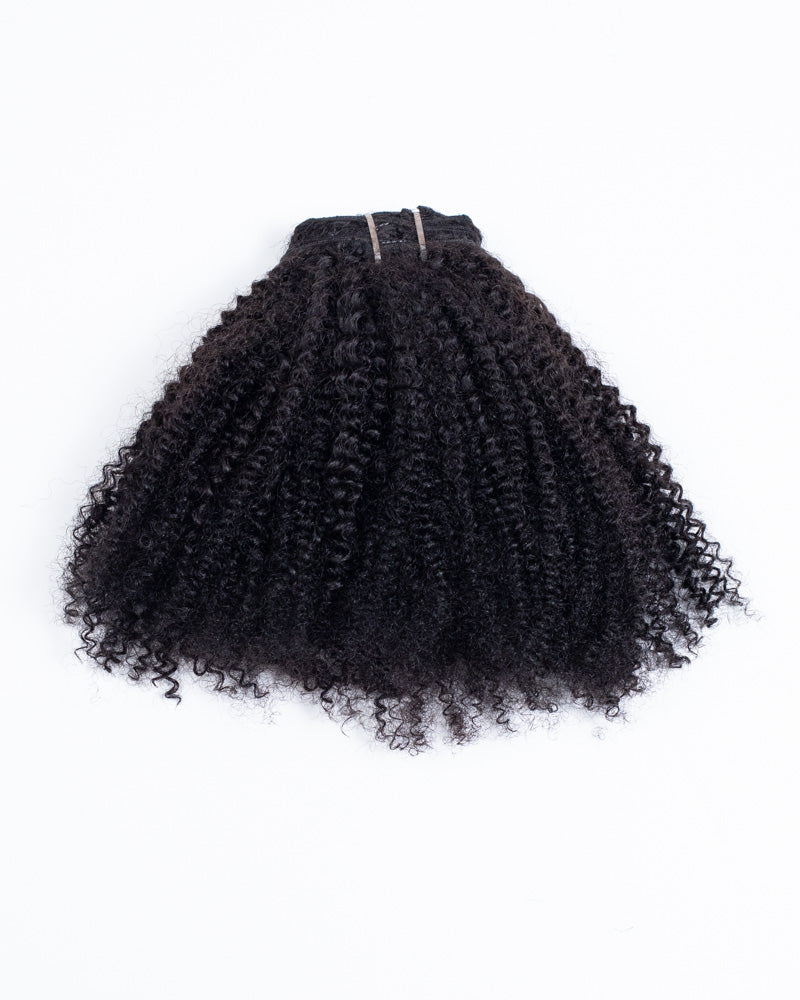 18" Coily & Curly Clip In - HK-169