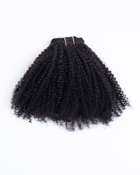 18" Coily & Curly Clip In - HK-169